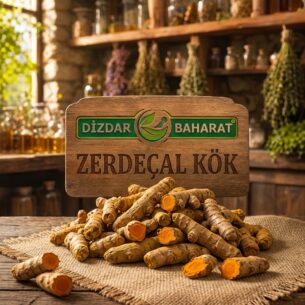 Zerdeçal Kök