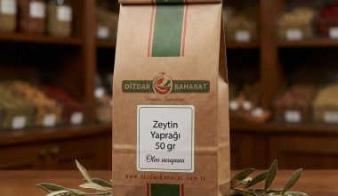 zeytin-yapragi
