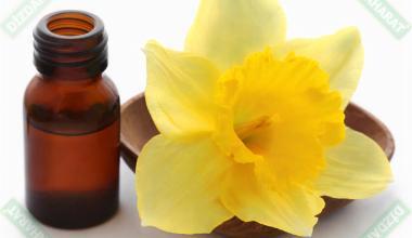 dizdar-nergis-cicegi-esansi