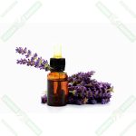 lavanta-cicegi-esans