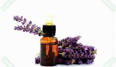 lavanta-cicegi-esans