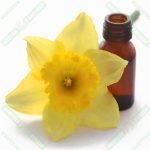 nergis-cicegi-esansi