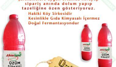 uzum-sirkesi-DizdarBaharat-1L