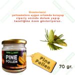 pine Pollen-Cam-Poleni