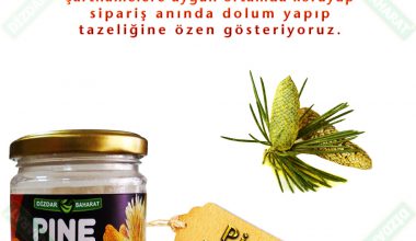 pine Pollen-Cam-Poleni