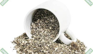 yılan burçagi-gavur pancari koku